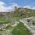 DSC00422