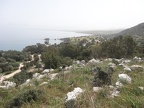DSC04416