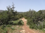 DSC04417