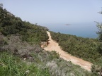 DSC04421