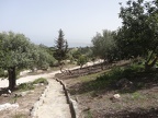 DSC04424