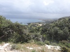 DSC04510
