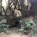 IMG 0508
