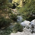 IMG 0610