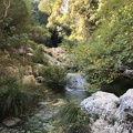 IMG 0611