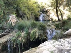 IMG 0623