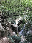 IMG 0627