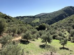 IMG 0630