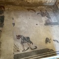 IMG 1460